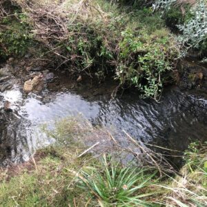 Lote De 5 Hectáreas A La Venta En Cumbre De La Ramallo Minas