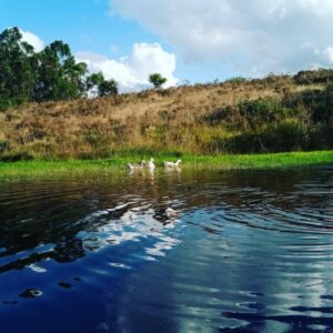 Chacra de 5 hectareas en Lavalleja sobre ruta 13 || Cerca de Aigua Hermosa Vista