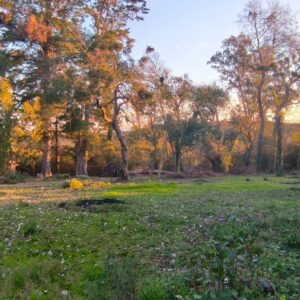 Terreno a la Venta en Villa Serrana || Sierra Alta Proa Pavimentada 3 Frentes