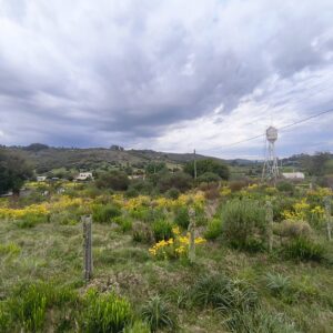 Terreno a la Venta en Villa Serrana Esquina Proa Vista 957m2