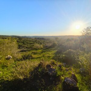 Atardeceres eternos en Cerro Guazubira: Un Refugio unico en Villa Serrana || 4.232m2 Acceso Electricidad Financia y Permuta